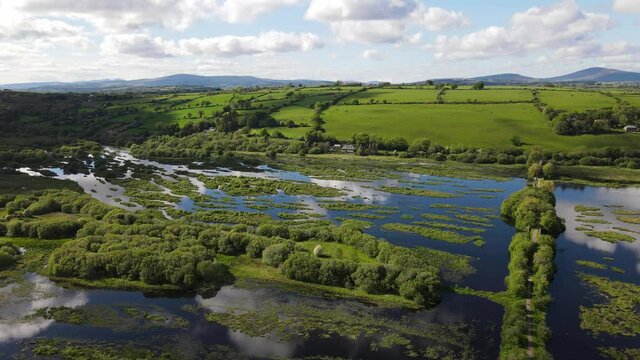 The Gearagh, wonderful preserved nature and petrified forest, submerged under water of river Lee during high tides.