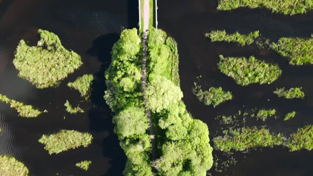 Directly above the green canopy of trees on a footpath in the middle of the black water