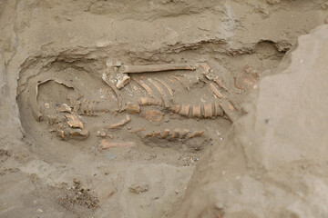 Excavación Huanchaco 