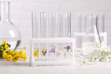 Test tubes with different flowers on white wooden table. Essential oil extraction