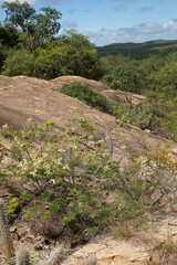 Fototapeta na wymiar Pedra do Caboclo