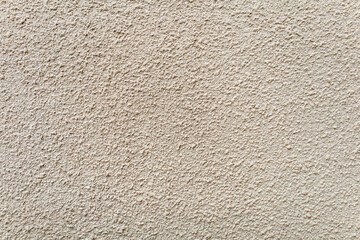 A gray rough cement wall is used as a background.