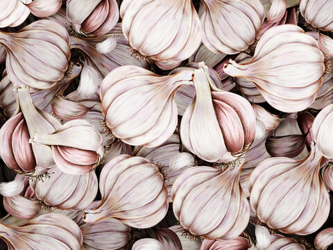 Hand drawn garlic patterned background illustration