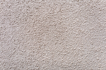 A gray rough cement wall is used as a background.