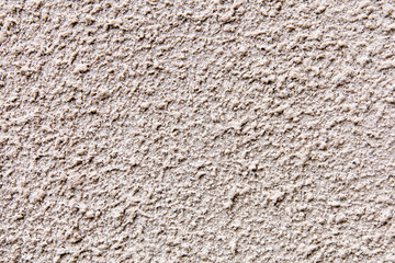 A gray rough cement wall is used as a background.