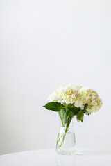 Closeup of white hydrangeas social template