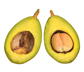 avocado isolated on white background