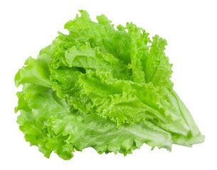 Fresh bunch of lettuce leaves isolated on white background.  Vegetables ingredients for cooking