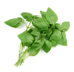 fresh basil leaves