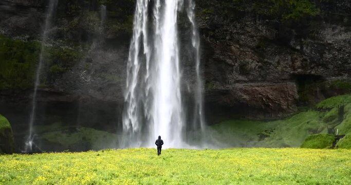 Traveler walking to Seljalandsfoss waterfal. Enjoying the nature of Iceland.