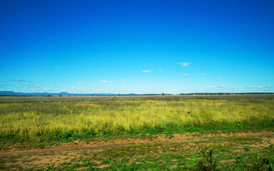 grass and sky