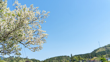 妻籠宿 古い町並み Tsumagojuku