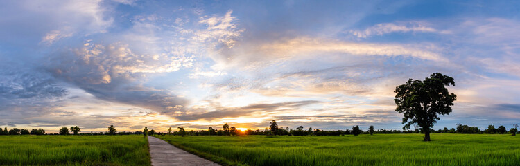 Obraz premium Sky atmosphere with sunset light over rice fields, Thailand.