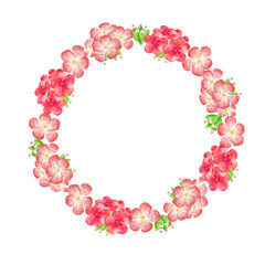 ゼラニウム 花　フレーム　水彩 イラスト