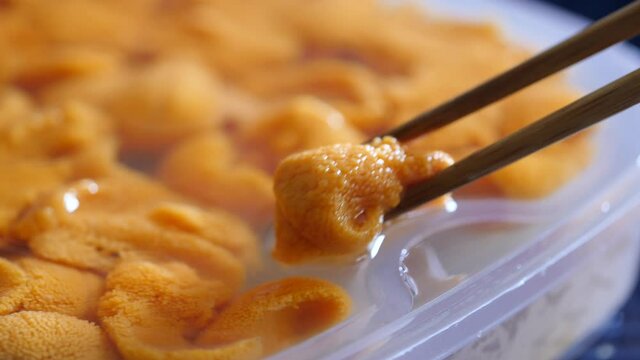 新鮮な雲丹のクローズアップ。プラスチック容器に入った海産物のウニを箸で取る動画。