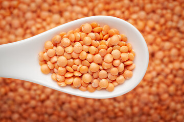 Macro Close-up of Organic masoor dal (Lens culinaris) or whole pink dal on a white ceramic soup spoon in a blurred background. Top view