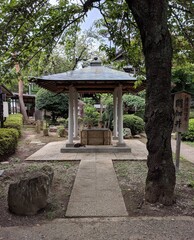 Fototapeta na wymiar japanese garden in the park