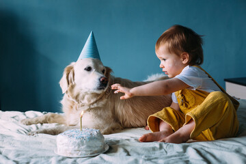 Labrador golden retriever together with a little cute child celebrate birthday