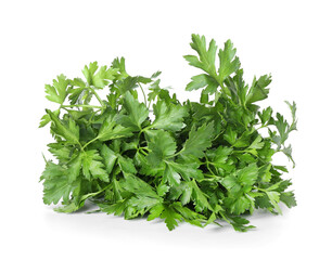 Fresh parsley on white background