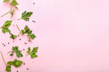 Fresh parsley with spices on color background