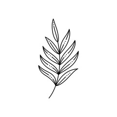 Tropical Palm leaf in a Trendy Minimalist Liner Style. Vector Illustration
