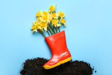 Gumboot with narcissus flowers and soil on color background
