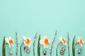 Beautiful daffodils and quail eggs on color background