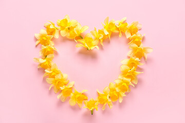 Heart made of beautiful daffodils on color background