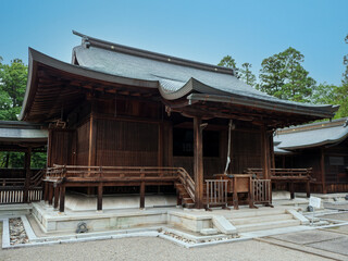 Naklejka premium 初夏の神社