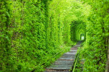 a railway in the spring forest tunnel of love - obrazy, fototapety, plakaty