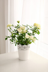 Beautiful white roses in pot on table in room