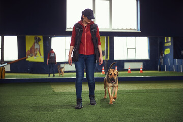 Focused instructor teaching the dog the Heel command - Powered by Adobe