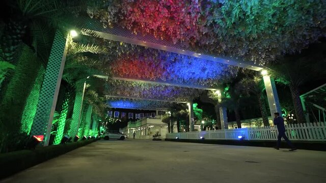 Empty spacious outdoor with rainbow lights. Multi colour lights rooftop plants & trees at empty space. 