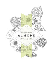 Almond frame poster, retro hand drawn vector illustration.