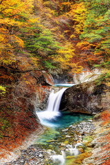 錦秋の西沢渓谷竜神の滝