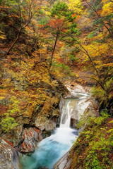 錦秋の西沢渓谷貞泉の滝