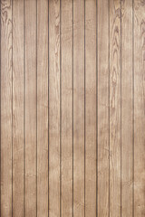 Stylish contemporary wainscoting made of thin light toned ash timber planks as textured background...