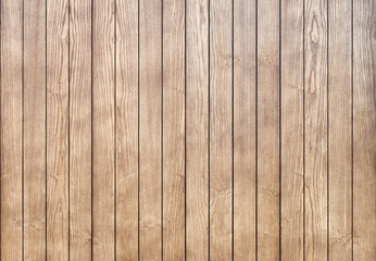 Stylish contemporary wainscoting made of thin light toned ash timber planks as textured background for design close view - Powered by Adobe