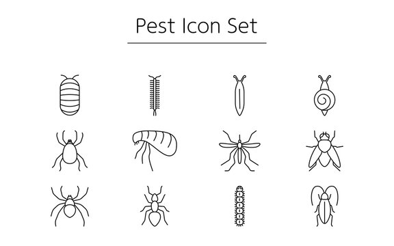 ダンゴムシ Images Browse 261 Stock Photos Vectors And Video Adobe Stock