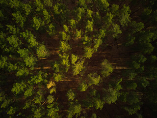 aerial photo of europe nature