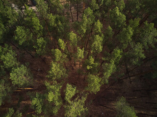 aerial photo of europe nature