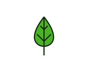 Leaf premium line icon. Simple high quality pictogram. Modern outline style icons. Stroke vector illustration on a white background. 