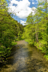 Fototapeta na wymiar Die Schwarza fließt durch ein romantisches Tal in Thüringen