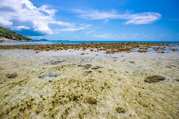 landscape with sea and sky