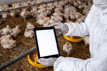 Farmer in sterile clothing holding tablet computer at poultry farm and checking production and food supply. © littlewolf1989