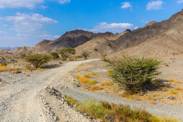 Copper Hike trail, winding gravel dirt road through Wadi Ghargur riverbed and rocky limestone Hajar Mountains in Hatta, United Arab Emirates.