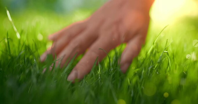 woman hand touching the grass