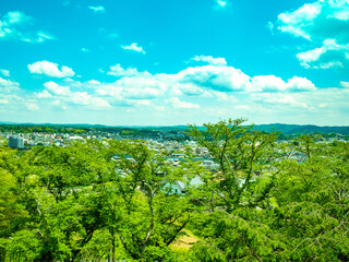 Naklejka premium 初夏の晴れた日