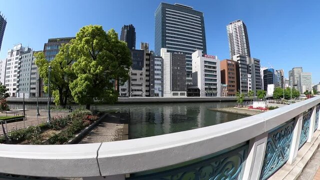 大阪　中之島バラ園