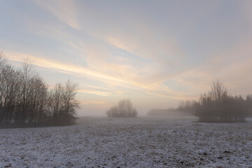 Sunrise over snowy meadow behind bush with ground fog in winter